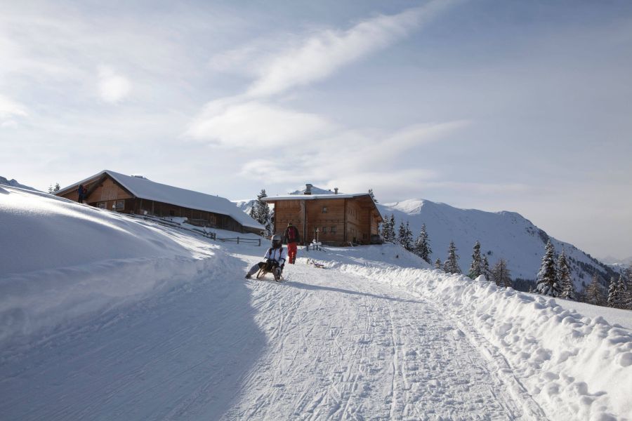 Sledding and tobogganing