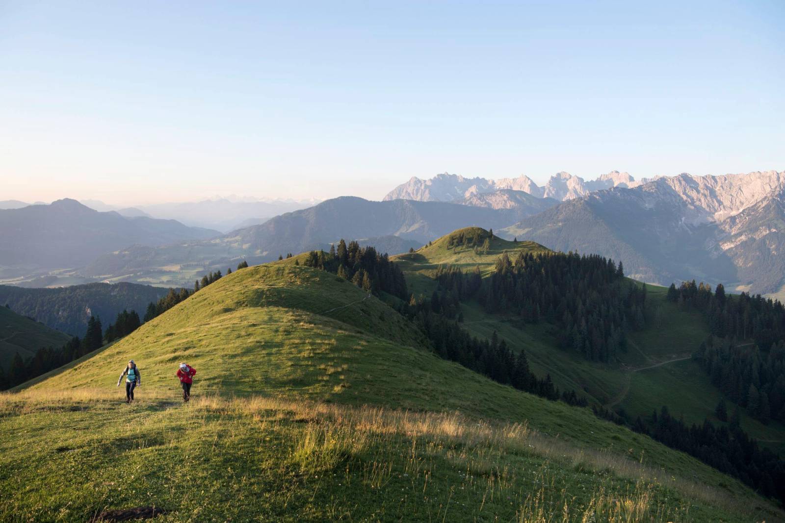 Alpes du Pitztal en été