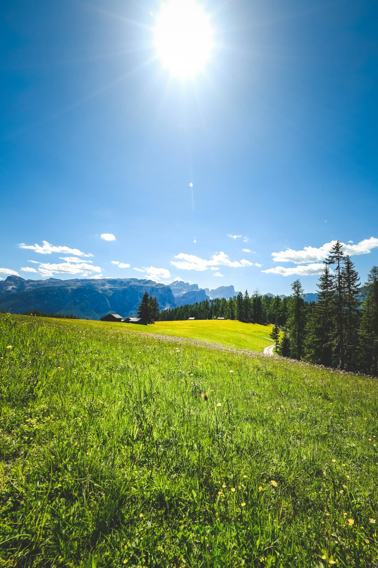 Sommer Pitztaler Alpen